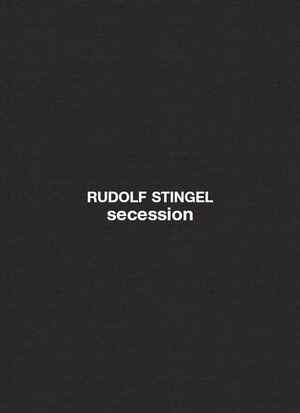 Buchcover Rudolf Stingel | Rudolf Stingel | EAN 9783868952162 | ISBN 3-86895-216-0 | ISBN 978-3-86895-216-2
