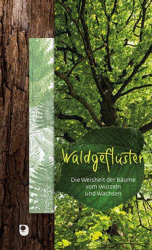 Buchcover Waldgeflüster | Ilka (Hrsg) Osenberg-van Vugt | EAN 9783869175676 | ISBN 3-86917-567-2 | ISBN 978-3-86917-567-6