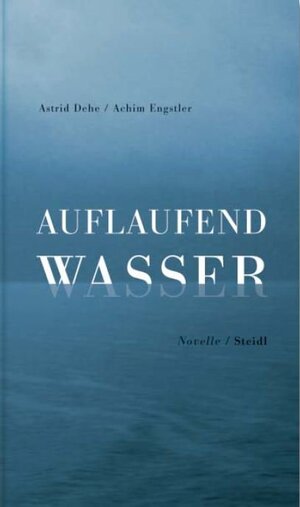Buchcover Auflaufend Wasser | Astrid Dehe | EAN 9783869306063 | ISBN 3-86930-606-8 | ISBN 978-3-86930-606-3