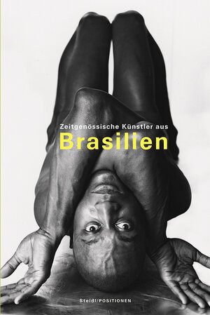 Buchcover Zeitgenössische Künstler aus Brasilien  | EAN 9783869306728 | ISBN 3-86930-672-6 | ISBN 978-3-86930-672-8