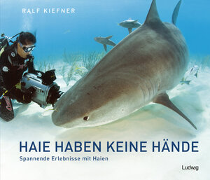 Buchcover Haie haben keine Hände – Spannende Erlebnisse mit Haien | Ralf Kiefner | EAN 9783869354279 | ISBN 3-86935-427-5 | ISBN 978-3-86935-427-9