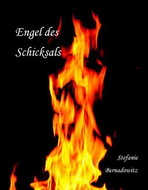 Buchcover Engel des Schicksals | Stefanie Bernadowitz | EAN 9783869370187 | ISBN 3-86937-018-1 | ISBN 978-3-86937-018-7