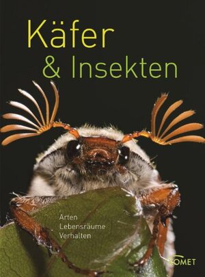 Buchcover Käfer & Insekten | Hans W. Kothe | EAN 9783869411361 | ISBN 3-86941-136-8 | ISBN 978-3-86941-136-1