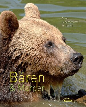 Buchcover Bären & Marder | Kerstin Viering | EAN 9783869411484 | ISBN 3-86941-148-1 | ISBN 978-3-86941-148-4