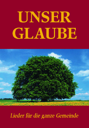 Buchcover Unser Glaube | EAN 9783869542386 | ISBN 3-86954-238-1 | ISBN 978-3-86954-238-6
