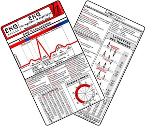 Buchcover EKG Normgrößen & Lagetypen 2025 - Medizinische Taschen-Karte | EAN 9783869574035 | ISBN 3-86957-403-8 | ISBN 978-3-86957-403-5