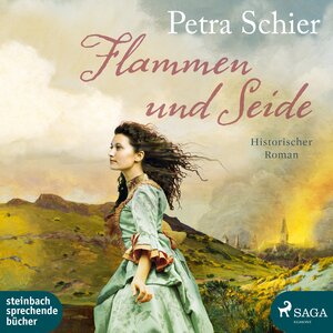 Buchcover Flammen und Seide | Petra Schier | EAN 9783869743561 | ISBN 3-86974-356-5 | ISBN 978-3-86974-356-1