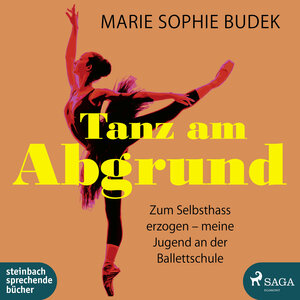 Buchcover Tanz am Abgrund | Marie Sophie Budek | EAN 9783869746289 | ISBN 3-86974-628-9 | ISBN 978-3-86974-628-9