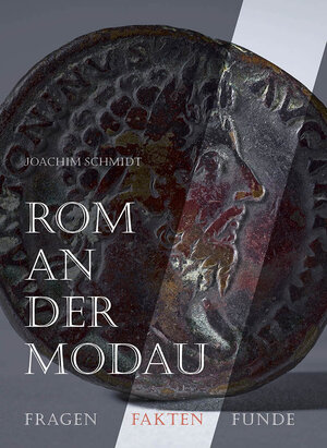 Buchcover Rom an der Donau | Joachim Schmidt | EAN 9783873904989 | ISBN 3-87390-498-5 | ISBN 978-3-87390-498-9