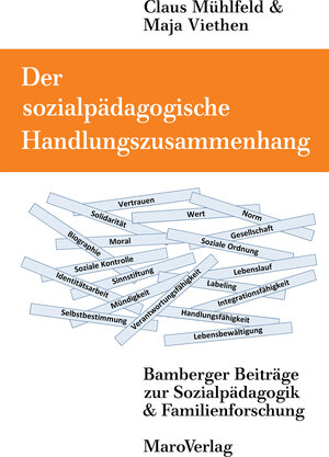 Buchcover Der sozialpädagogische Handlungszusammenhang | Maja Viethen | EAN 9783875123586 | ISBN 3-87512-358-1 | ISBN 978-3-87512-358-6