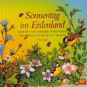 Buchcover Sonnentag im Erdenland | Christian Morgenstern | EAN 9783878383048 | ISBN 3-87838-304-5 | ISBN 978-3-87838-304-8