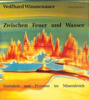 Buchcover Zwischen Feuer und Wasser | Wolfhard Wimmenauer | EAN 9783878389453 | ISBN 3-87838-945-0 | ISBN 978-3-87838-945-3
