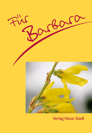 Buchcover Für Barbara | Stephan Schaefer | EAN 9783879969340 | ISBN 3-87996-934-5 | ISBN 978-3-87996-934-0