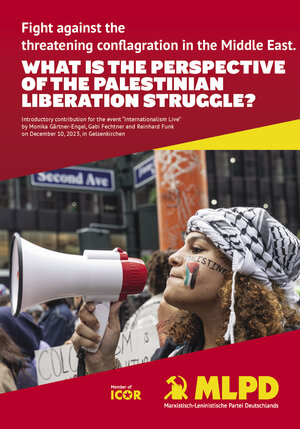 Buchcover What is the perspective of the palestinian liberation struggle? | Gabi Fechtner | EAN 9783880216921 | ISBN 3-88021-692-4 | ISBN 978-3-88021-692-1