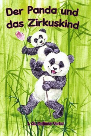 Buchcover Der Panda und das Zirkuskind  | EAN 9783880694194 | ISBN 3-88069-419-2 | ISBN 978-3-88069-419-4