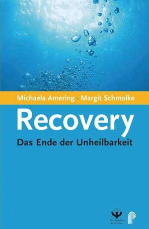 Buchcover Recovery | Michaela Amering | EAN 9783884144213 | ISBN 3-88414-421-9 | ISBN 978-3-88414-421-3