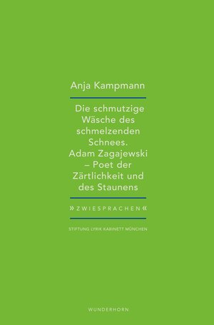 Buchcover Die schmutzige Wäsche des schmelzenden Schnees | Anja Kampmann | EAN 9783884237083 | ISBN 3-88423-708-X | ISBN 978-3-88423-708-3