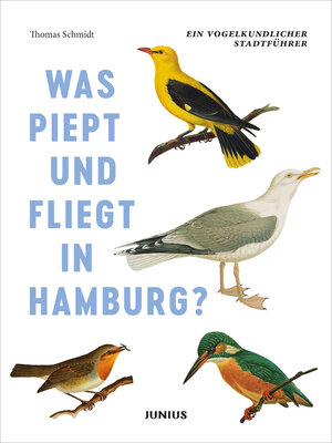 Buchcover Was piept und fliegt in Hamburg? | Thomas Schmidt | EAN 9783885067795 | ISBN 3-88506-779-X | ISBN 978-3-88506-779-5