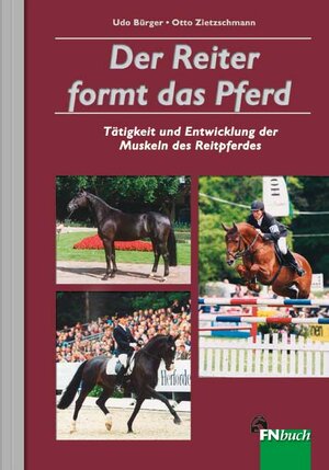 Der Reiter formt das Pferd: Tätigkeit und Entwicklung der Muskeln des Reitpferdes