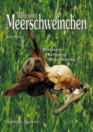 Buchcover Mehr über Meerschweinchen | Ilse Pelz | EAN 9783886271627 | ISBN 3-88627-162-5 | ISBN 978-3-88627-162-7