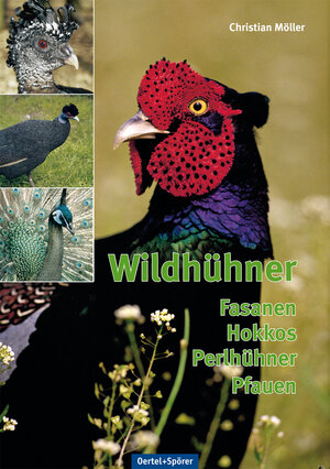 Buchcover Wildhühner | Christian Möller | EAN 9783886275625 | ISBN 3-88627-562-0 | ISBN 978-3-88627-562-5