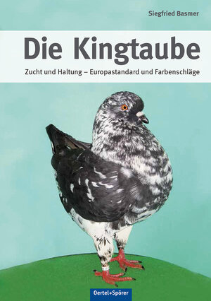 Buchcover Die Kingtaube | Siegfried Basmer | EAN 9783886276158 | ISBN 3-88627-615-5 | ISBN 978-3-88627-615-8