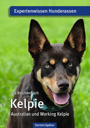 Buchcover Kelpie | Uta Reichenbach | EAN 9783886278411 | ISBN 3-88627-841-7 | ISBN 978-3-88627-841-1
