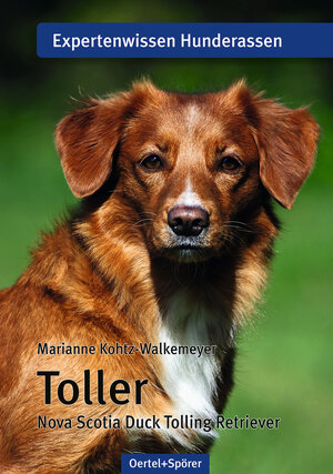 Buchcover Toller | Marianne Kohtz-Walkemeyer | EAN 9783886278428 | ISBN 3-88627-842-5 | ISBN 978-3-88627-842-8