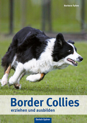 Buchcover Border Collies erziehen und ausbilden | Barbara Sykes | EAN 9783886278756 | ISBN 3-88627-875-1 | ISBN 978-3-88627-875-6