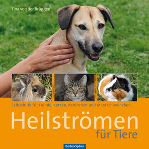 Buchcover Heilströmen für Tiere | Tina von der Brüggen | EAN 9783886279111 | ISBN 3-88627-911-1 | ISBN 978-3-88627-911-1