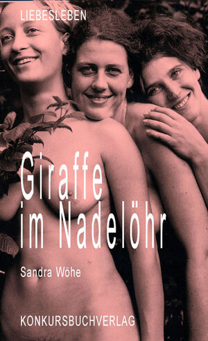 Buchcover Giraffe im Nadelöhr | Sandra Wöhe | EAN 9783887697198 | ISBN 3-88769-719-7 | ISBN 978-3-88769-719-8