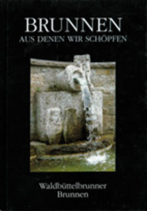 Buchcover Brunnen aus denen wir schöpfen | Hildegard Türk | EAN 9783887782191 | ISBN 3-88778-219-4 | ISBN 978-3-88778-219-1