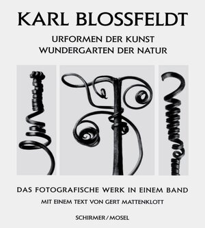 Urformen der Kunst. Wundergarten der Natur: Das fotografische Werk in einem Band