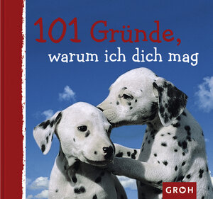 101 Gründe, warum ich dich mag