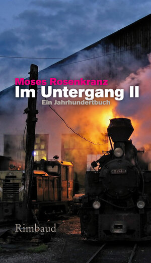 Buchcover Im Untergang II | Moses Rosenkranz | EAN 9783890868196 | ISBN 3-89086-819-3 | ISBN 978-3-89086-819-6