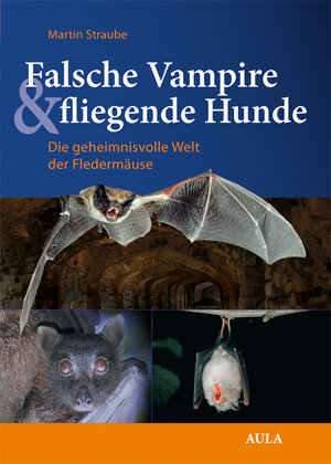 Buchcover Falsche Vampire & fliegende Hunde | Martin Straube | EAN 9783891047989 | ISBN 3-89104-798-3 | ISBN 978-3-89104-798-9