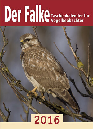 Buchcover Der Falke-Taschenkalender für Vogelbeobachter 2016  | EAN 9783891048009 | ISBN 3-89104-800-9 | ISBN 978-3-89104-800-9