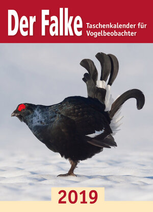 Buchcover Der Falke-Taschenkalender für Vogelbeobachter 2019  | EAN 9783891048207 | ISBN 3-89104-820-3 | ISBN 978-3-89104-820-7
