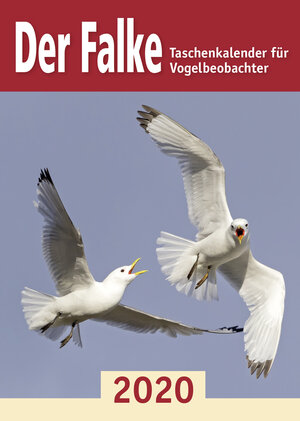 Buchcover Der Falke-Taschenkalender für Vogelbeobachter 2020  | EAN 9783891048269 | ISBN 3-89104-826-2 | ISBN 978-3-89104-826-9