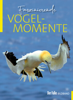 Buchcover Faszinierende Vogelmomente  | EAN 9783891048290 | ISBN 3-89104-829-7 | ISBN 978-3-89104-829-0