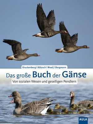 Buchcover Das große Buch der Gänse | Helmut Kruckenberg | EAN 9783891048412 | ISBN 3-89104-841-6 | ISBN 978-3-89104-841-2