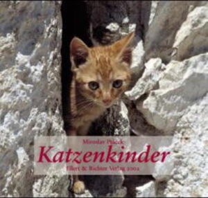 Buchcover Katzenkinder 2002 | Miroslav Ptácek | EAN 9783892349662 | ISBN 3-89234-966-5 | ISBN 978-3-89234-966-2