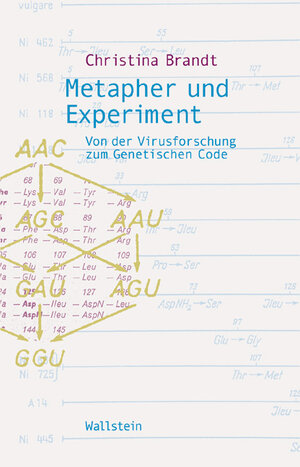 Buchcover Metapher und Experiment | Christina Brandt | EAN 9783892448068 | ISBN 3-89244-806-X | ISBN 978-3-89244-806-8