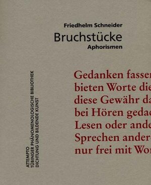 Buchcover Bruchstücke | Friedhelm Schneider | EAN 9783893084265 | ISBN 3-89308-426-6 | ISBN 978-3-89308-426-5