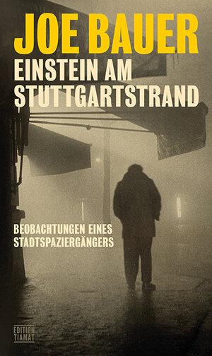 Buchcover Einstein am Stuttgartstrand | Joe Bauer | EAN 9783893203208 | ISBN 3-89320-320-6 | ISBN 978-3-89320-320-8