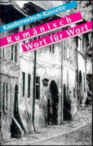 Buchcover Rumänisch - Wort für Wort | Jürgen Salzer | EAN 9783894165369 | ISBN 3-89416-536-7 | ISBN 978-3-89416-536-9