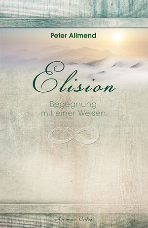 Buchcover Elision | Peter Allmend | EAN 9783894276256 | ISBN 3-89427-625-8 | ISBN 978-3-89427-625-6