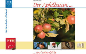 Buchcover Der Apfelbaum und seine Gäste | Peter Rüther | EAN 9783894321413 | ISBN 3-89432-141-5 | ISBN 978-3-89432-141-3