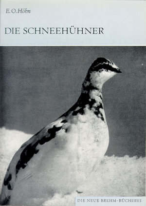 Buchcover Die Schneehühner | Otto Höhn | EAN 9783894322458 | ISBN 3-89432-245-4 | ISBN 978-3-89432-245-8