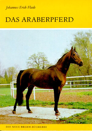 ARABERPFERD